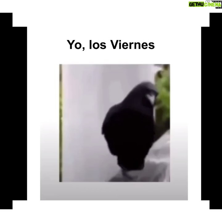 Isabella Santodomingo Instagram - Si me ausento a veces no es porque me de pereza subir cosas a mi IG, ni porque esté demasiado ocupada para hacerlo. Es porque es difícil tratar de subirle el ánimo a los demás cuando el propio está por el piso. Les cuento: Mi segunda cirugía de oído (Canaloplastia) no salió bien y eso me tiene lejos de estar animada y positiva, como siempre. Ya son 5 meses con un dolor intenso que va y viene, con antibióticos y sin poder escuchar bien por mi oído izquierdo. La otra semana tengo cita con un nuevo otólogo y creo que me van a tener que operar otra vez para abrir nuevamente mi conducto auditivo. Todo esto para decirles que aquí sigo, a medias y medio chueca, pero con la esperanza de poder salir de esto tan feo que me ha mantenido aislada, triste y alejada de todo y de todos. Para finalizar, les digo lo más importante de todo: cuiden sus oídos. No se imaginan lo delicados que son, lo que duele una cirugía de éstas y lo que tarda la recuperación. Saludos. ❣️ •• #Isagram