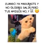 Isabella Santodomingo Instagram – Selección de Jueves. Ya casi… 😋
••
#Isagram
