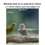 Isabella Santodomingo Instagram - Mensaje para este Lunes: La tercera edad no es el final de nada sino el principio de algo nuevo. No apartemos, critiquemos o nos fastidiemos cuando una persona muy mayor nos pide que lo ayudemos en algo. Entendamos que son seres humanos que han dejado de ser adultos para volver a ser niños y por eso necesitan aprender todo lo nuevo que esté ocurriendo a su alrededor que, para nosotros es normal y cotidiano, pero para ellos no. Seamos compasivos con nuestros ancianos, ellos no siempre lo fueron y, cuando éramos nosotros los más pequeños, siempre estuvieron allí para enseñarnos a sobrevivir. Se paciente y tolerante con la tercera edad que, si contamos con suerte, algún día llegaremos allá. Y, si ves a un anciano cantando, así sea desafinado, bailando, así sea medio chueco y descoordinado, celebrémoslo en vez de criticarlo o cancelarlo. Es su yo joven dentro de sí diciéndole al mundo: “Todavía estoy aquí.” Linda semana para todos. 🙂 •• #Isagram