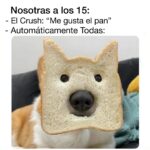 Isabella Santodomingo Instagram - Mensaje para este Lunes: La tercera edad no es el final de nada sino el principio de algo nuevo. No apartemos, critiquemos o nos fastidiemos cuando una persona muy mayor nos pide que lo ayudemos en algo. Entendamos que son seres humanos que han dejado de ser adultos para volver a ser niños y por eso necesitan aprender todo lo nuevo que esté ocurriendo a su alrededor que, para nosotros es normal y cotidiano, pero para ellos no. Seamos compasivos con nuestros ancianos, ellos no siempre lo fueron y, cuando éramos nosotros los más pequeños, siempre estuvieron allí para enseñarnos a sobrevivir. Se paciente y tolerante con la tercera edad que, si contamos con suerte, algún día llegaremos allá. Y, si ves a un anciano cantando, así sea desafinado, bailando, así sea medio chueco y descoordinado, celebrémoslo en vez de criticarlo o cancelarlo. Es su yo joven dentro de sí diciéndole al mundo: “Todavía estoy aquí.” Linda semana para todos. 🙂 •• #Isagram