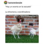 Isabella Santodomingo Instagram - Todos los días me despierto y veo esto 😂❣️Buena semana para todos. •• #Isagram