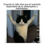 Isabella Santodomingo Instagram - Mensaje para este Lunes: La tercera edad no es el final de nada sino el principio de algo nuevo. No apartemos, critiquemos o nos fastidiemos cuando una persona muy mayor nos pide que lo ayudemos en algo. Entendamos que son seres humanos que han dejado de ser adultos para volver a ser niños y por eso necesitan aprender todo lo nuevo que esté ocurriendo a su alrededor que, para nosotros es normal y cotidiano, pero para ellos no. Seamos compasivos con nuestros ancianos, ellos no siempre lo fueron y, cuando éramos nosotros los más pequeños, siempre estuvieron allí para enseñarnos a sobrevivir. Se paciente y tolerante con la tercera edad que, si contamos con suerte, algún día llegaremos allá. Y, si ves a un anciano cantando, así sea desafinado, bailando, así sea medio chueco y descoordinado, celebrémoslo en vez de criticarlo o cancelarlo. Es su yo joven dentro de sí diciéndole al mundo: “Todavía estoy aquí.” Linda semana para todos. 🙂 •• #Isagram