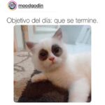 Isabella Santodomingo Instagram - Mensaje del día: No tengan miedo de cambiar de rumbo o de explorar nuevas rutas por temor a quedarse sol@s o a perder amigos. Sólo recuerden que los amigos, cuando son de verdad, siempre están ahí, por los laditos y aparecen cuando más los necesitas. Hay amigos por razones y otros sólo por estaciones. (“There are friends for reasons, and there are friends for seasons.”) Y, está bien. Si aprendes esto a tiempo, siempre sabrás cuál es tu tribu. 😉 Bonita semana para todos. •• #Isagram