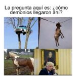 Isabella Santodomingo Instagram - Esta selección de Viernes va con invitación incluida para quienes estén en Bogotá y quieran acompañarme a la presentación de mi libro “Revivamos Nuestra Histeria” en la #filbo2024 (Feria del Libro de Bogotá 2024). Buen fin de semana para todos. Voy a tener una charla súper divertida sobre la historia histérica de la mujer con @yiya2024 No se la pierdan!😊 •• #Isagram