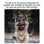 Isabella Santodomingo Instagram - Esta selección de Viernes va con invitación incluida para quienes estén en Bogotá y quieran acompañarme a la presentación de mi libro “Revivamos Nuestra Histeria” en la #filbo2024 (Feria del Libro de Bogotá 2024). Buen fin de semana para todos. Voy a tener una charla súper divertida sobre la historia histérica de la mujer con @yiya2024 No se la pierdan!😊 •• #Isagram