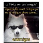 Isabella Santodomingo Instagram – Esta selección de Viernes va con invitación incluida para quienes estén en Bogotá y quieran acompañarme a la presentación de mi libro “Revivamos Nuestra Histeria” en la #filbo2024 (Feria del Libro de Bogotá 2024). Buen fin de semana para todos. Voy a tener una charla súper divertida sobre la historia histérica de la mujer con @yiya2024 No se la pierdan!😊
••
#Isagram