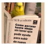 Isabella Santodomingo Instagram – Esta selección de Viernes va con invitación incluida para quienes estén en Bogotá y quieran acompañarme a la presentación de mi libro “Revivamos Nuestra Histeria” en la #filbo2024 (Feria del Libro de Bogotá 2024). Buen fin de semana para todos. Voy a tener una charla súper divertida sobre la historia histérica de la mujer con @yiya2024 No se la pierdan!😊
••
#Isagram