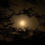 Isadora Cruz Instagram - Sertão eclipsado