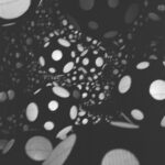 Isadora Cruz Instagram - @tidawhitney @pamm #yayoikusama 🦋❤️
