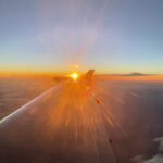 Isis Valverde Instagram – Dou respeito às coisas desimportantes
e aos seres desimportantes.
Prezo insetos mais que aviões.
Prezo a velocidade
das tartarugas mais que a dos mísseis.
Tenho em mim esse atraso de nascença.
Eu fui aparelhado
para gostar de passarinhos.
Tenho abundância de ser feliz por isso.
Meu quintal é maior do que o mundo.

Manoel de Barros