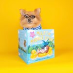 Isla Fisher Instagram - Super cute! Mazy the Movie Star my woof-tastic picture book illustrated by Paula Bowles is out now in paperback! #AmazingMazy