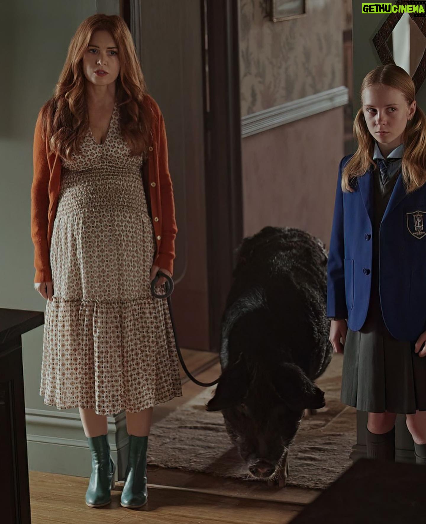 Isla Fisher Instagram - Got your attention! Now watch Wolf Like Me @stanaustralia @peacock @amazonprime 🐺