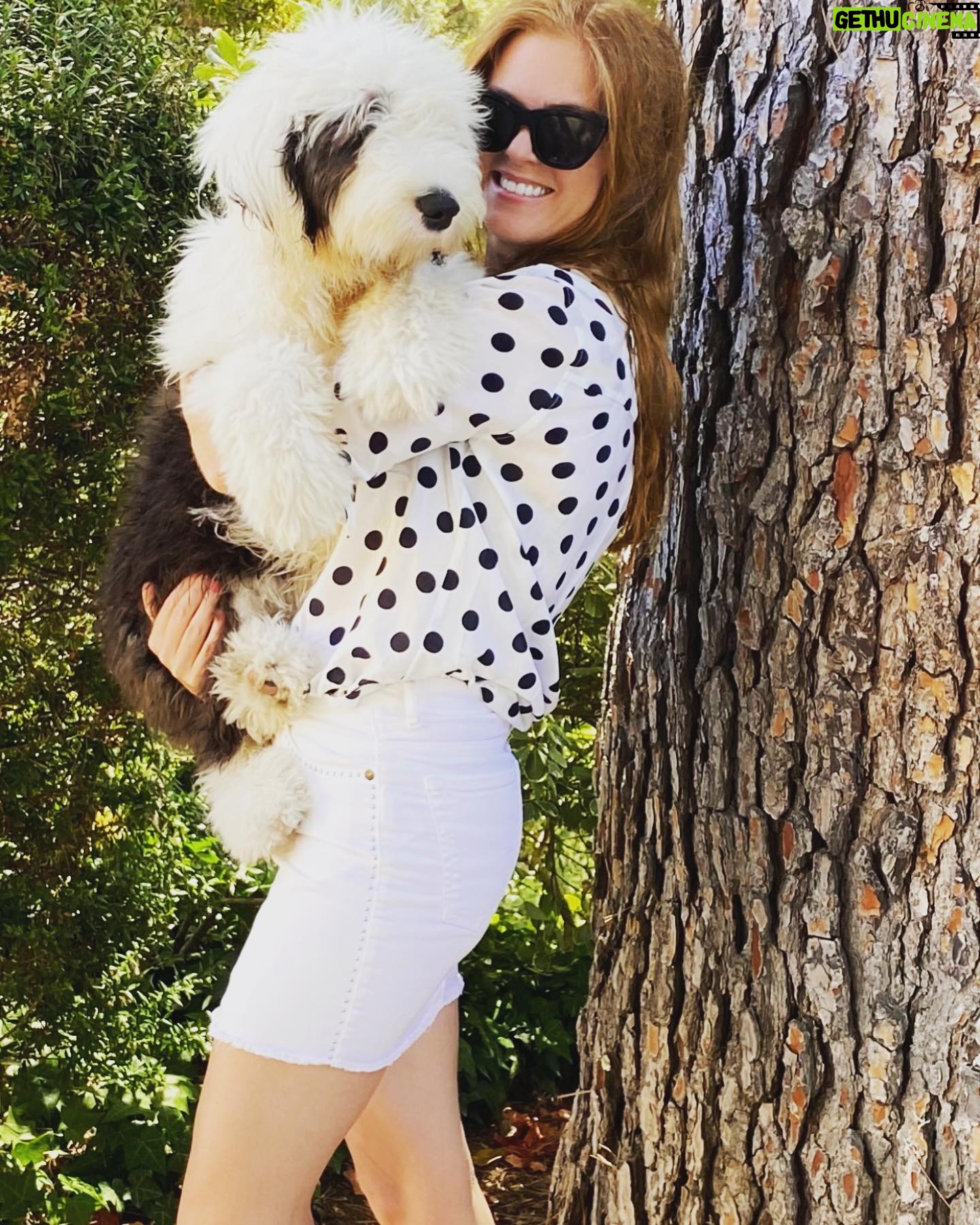 Isla Fisher Instagram - Dotty over my doggy #nationaldogday