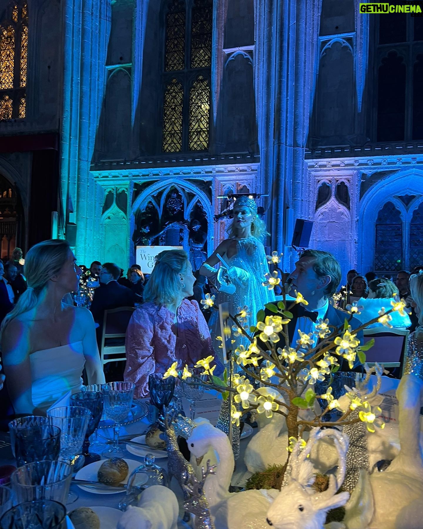 Isla Fisher Instagram - It was an honor and a privilege to support Save the Children tonight #thewintergala @savechildrenuk @needleandthreadlondon #narnia