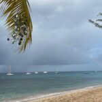Isla Fisher Instagram - Farewell Caribbean skies 🌸