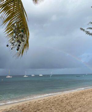 Isla Fisher Instagram - Farewell Caribbean skies 🌸