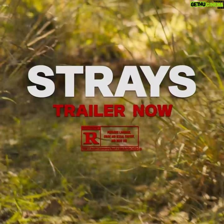 Isla Fisher Instagram - : They’re bad to the bone. Watch the @StraysMovie NSFW trailer now. @josh.greenbaum