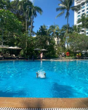 Isla Fisher Instagram - Poolside @shangrilasg 
Singapore 💙