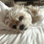 Italia Ricci Instagram - I could air fry and eat this face.