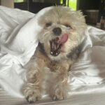 Italia Ricci Instagram - I could air fry and eat this face.