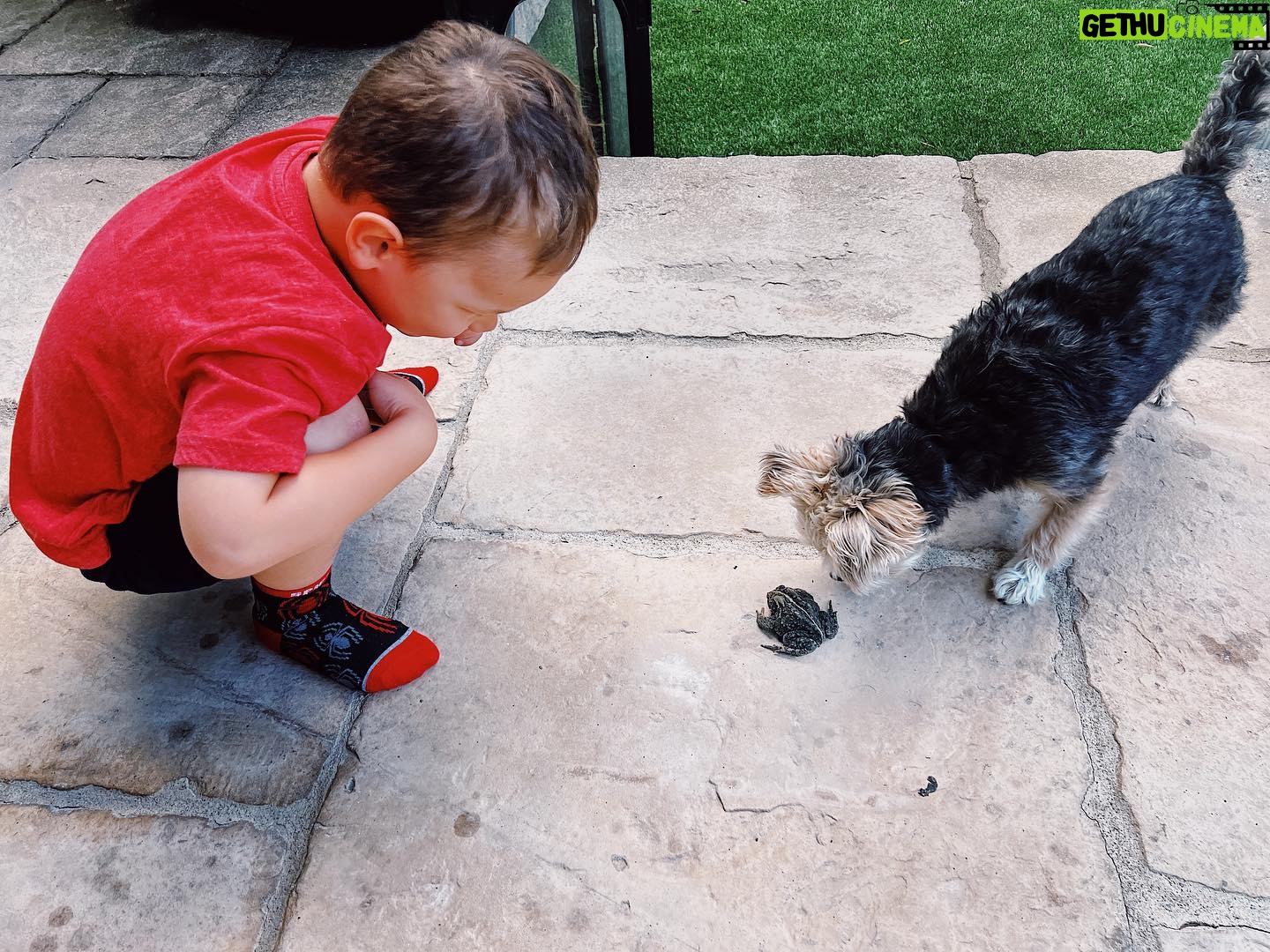 Italia Ricci Instagram - Toadally jumped at the chance to say hi to this guy toaday. I photoad it so we wouldn’t froget how hoppy he made us….sorry bye.