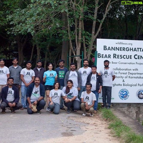 Iti Acharya Instagram - Today is a really special day , it’s the third year rescue anniversary for “Millie” a sloth bear rescued by @wildlifesos from Dancing Bear trade It was my privilege to volunteer with their wonderful and enthusiastic team to make this day a little more special and get an insight of the lives of these innocent animals, dangers they face and about this wonderful organisation who has been working triumphantly over so many years to put an end to the ill practises of wildlife trade and also support and empower the families involved to assist them in making better choices of earning and livelihood. I am super excited to share my experience here and would request each of you , if you find slightest of love for wildlife in your heart Kindly act upon it right away. You can volunteer with them , or make donations in funds or kind by donating fruits. These bears love Fruits, honey and peanut butter BTW 😇 @wildlifesos Know more www.wildlifesos.org Show some love https://pmny.in/1IVJONFpASSF #wildlifesos #banerghattabearrescuecentre #savibgbears #wildlifeconservation #wildlifeplanet #wildlifeindia