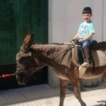 Itziar Ituño Instagram - "Lo llamo dulcemente: “¿Platero?”, y viene a mí con un trotecillo alegre que parece que se ríe, en no sé qué cascabeleo ideal...(...) Tiene acero. Acero y plata de luna, al mismo tiempo" Platero y yo. Moguer, Juan Ramón Jimenez eta Plateroren herria, herri zuri, disdiratsua, eguzkiz buztia, zeru gabiz. Ederra! #moguer #huelva #plateroyyo #andalucía