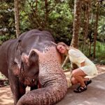 Ivana Sert Instagram - Beautiful Sri Lanka 🇱🇰♥️🐘♥️ #srilankatravel #travelphotography #travel #worldtraveler #worldplaces #tropical #jungle #lifestyle #love #elephant #wildlife #nature