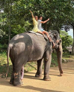 Ivana Sert Instagram - The Sri Lankan subspecies is the largest and also the darkest of the Asian elephants, with patches of depigmentation—areas with no skin color—on its ears, face, trunk and belly. Once found throughout the tear-shaped island at the bottom of India’s southern tip, these elephants are now being pushed into smaller areas as development activities clear forests and disrupt their ancient migratory routes.

The herd size in Sri Lanka ranges from 12-20 individuals or more. It is led by the oldest female, or matriarch. In Sri Lanka, herds have been reported to contain nursing units, consisting of lactating females and their young, and juvenile care units, containing females with juveniles. The Sri Lankan elephant population has fallen almost 65% since the turn of the 19th century. Today, the Sri Lanka elephant is protected under the Sri Lankan law and killing one carries the death penalty. ♥️🐘♥️