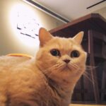 Ivy Shao Instagram - breathe and life