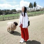 Ivy Shao Instagram - 復活！ 假裝有看見的富士山 被羊追的女孩 倒路邊還看鏡頭的小妹妹（媽媽在旁邊叫我請拍） 再熱也不脫外套的我妹妹 右駕也妥妥的 新鞋報到 #newbalance