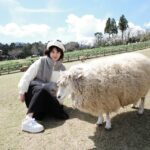 Ivy Shao Instagram - 復活！ 假裝有看見的富士山 被羊追的女孩 倒路邊還看鏡頭的小妹妹（媽媽在旁邊叫我請拍） 再熱也不脫外套的我妹妹 右駕也妥妥的 新鞋報到 #newbalance