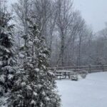 Jéssica Belcost Instagram – Acho que agora sim começou a nevar de verdade! 😅☃️