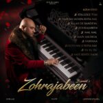 Jaani Instagram - Do Din Reh gaye bas 🌹🌹🌹 FULL ALBUM 24TH july !!! #Zohrajabeen @bpraak @arvindrkhaira #JAANI