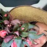 Jackie Cruz Instagram - Jugito de fruta para empezar el día 🍌🥭🍓💦 What’s your morning routine? ☀️