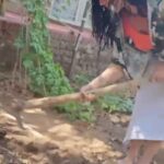 Jackie Shroff Instagram - On World Plant Health Day, let your kids practice and learn how to nurture nature for generations to come. Go get your kids to feel the soil and merge with Nature 🌳 #PlantHealthDay #NurtureNature #SavePlantsSavePlanet
