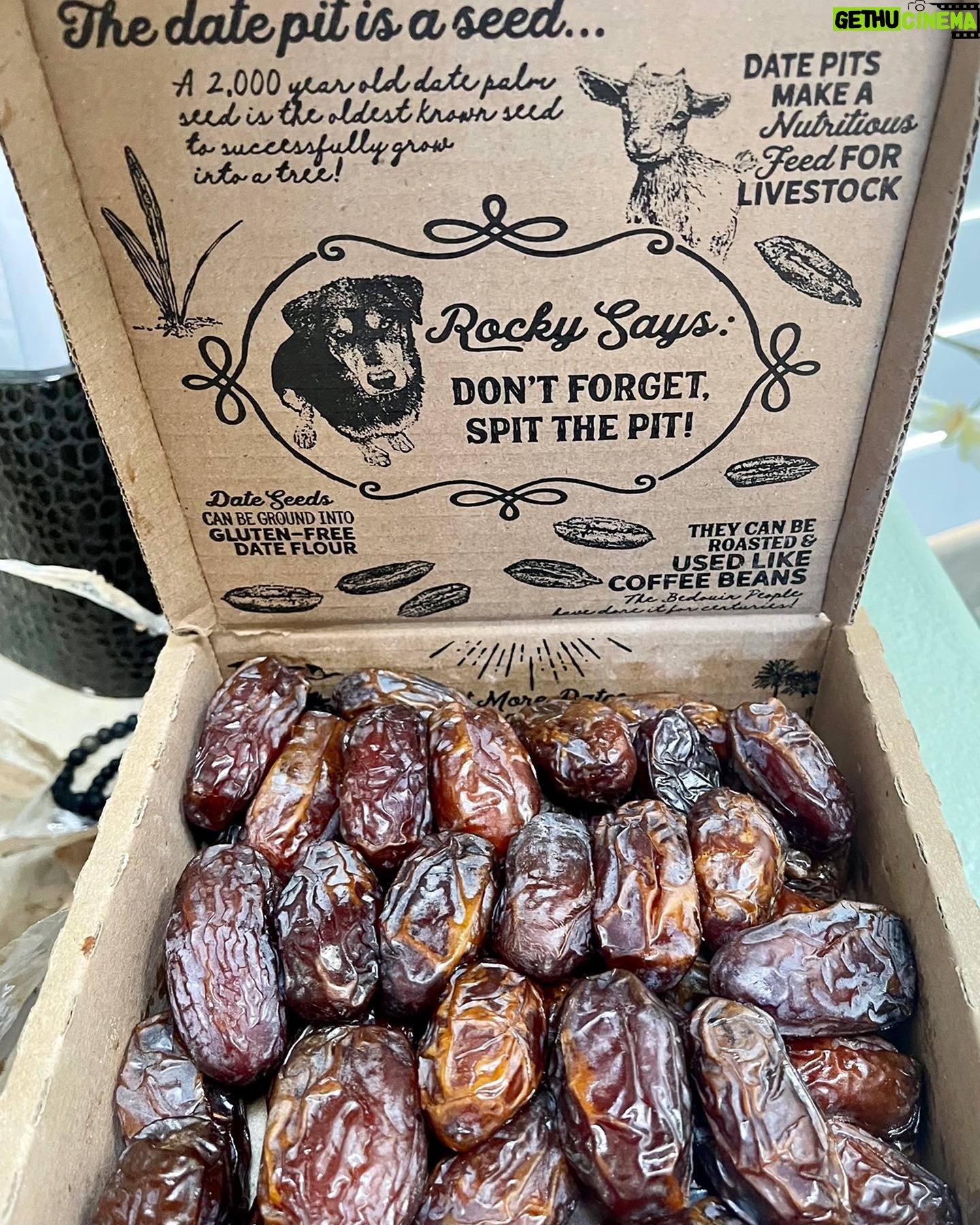 Jacqueline Laurita Instagram - I love these delicious #MedjoolDates from @rancho_meladuco_date_farm that I got from @ferm.farm (my cousins wife’s sisters health food store!) They are the softest tastiest #Dates I’ve ever had! I love putting a couple in my smoothies! They have great benefits that I wanted to share with you! * High in Fiber * Promotes digestion * Prevents constipation * Detoxifies the body * Promotes weight loss * Stimulates immune system * Reduces inflammation and oxidative damage * Improves heart health * Improves brain health * Improves bone health * Improves hormone regulation * Reduces bad (LDL) cholesterol * Great natural sweetener (great in smoothies) * Energy rich snack that satiates sweet tooth and keeps you feeling full and satisfied * Low GI so less likely to spike blood sugar levels * High in antioxidants and phytonutrients * Promotes hair growth * Supports pregnancy and labor * Rich in b6, copper, iron, magnesium, manganese, potassium, selenium, C, D and K * Considered a superfood Try them! Check out @ferm.farm 🌴🤗❤️😋