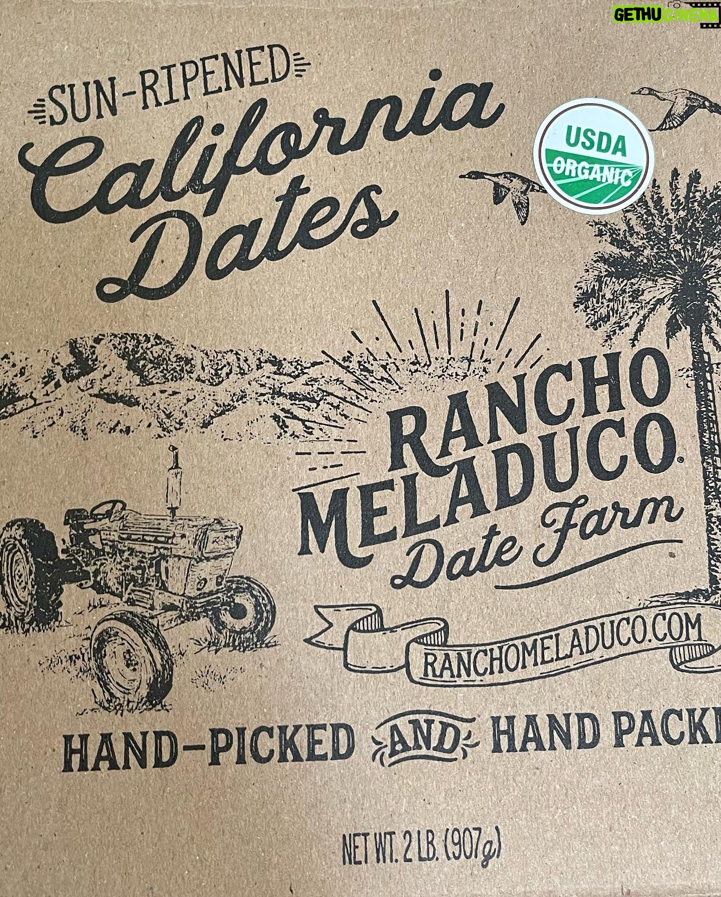 Jacqueline Laurita Instagram - I love these delicious #MedjoolDates from @rancho_meladuco_date_farm that I got from @ferm.farm (my cousins wife’s sisters health food store!) They are the softest tastiest #Dates I’ve ever had! I love putting a couple in my smoothies! They have great benefits that I wanted to share with you! * High in Fiber * Promotes digestion * Prevents constipation * Detoxifies the body * Promotes weight loss * Stimulates immune system * Reduces inflammation and oxidative damage * Improves heart health * Improves brain health * Improves bone health * Improves hormone regulation * Reduces bad (LDL) cholesterol * Great natural sweetener (great in smoothies) * Energy rich snack that satiates sweet tooth and keeps you feeling full and satisfied * Low GI so less likely to spike blood sugar levels * High in antioxidants and phytonutrients * Promotes hair growth * Supports pregnancy and labor * Rich in b6, copper, iron, magnesium, manganese, potassium, selenium, C, D and K * Considered a superfood Try them! Check out @ferm.farm 🌴🤗❤️😋