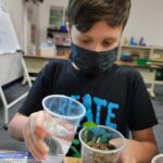 Jacqueline Laurita Instagram – Nick planted a seed and it started sprouting!! 🌱He’s having fun at school!