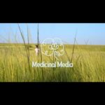 Jada Pinkett Smith Instagram - May is Mental Health Awareness Month and, in honor of that, I’m sharing this somatic exercise video from @medicinalmediaorg — a nonprofit I’ve been working with and watching grow since last summer. An untold number of mental health struggles boil down to our nervous systems, in one way or another. I love Medicinal Media’s child-led somatic series. Watching children participate in these beautiful videos brings me hope of how focus on mental health will become a new norm… everywhere. If you have a moment to spare, press play on this somatic exercise out of South Africa. Somatic videos alone won’t solve it all, nor will just one nonprofit, but Mental Health Awareness Month is all about reminding us to do what we can when we can. Let’s start there. One breath at a time. Happy Sunday✨