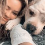 Jade Pettyjohn Instagram - Had to say goodbye to my best friend today. Over a decade of my life spent with you and I’m better for it. You were family. Sending you a can of Alpo for the next life. Chops. My good boy. I’ll love you forever 💔