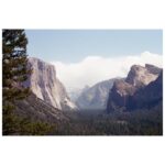 Jaeden Martell Instagram - Olympus OM-1 Yosemite🎍🫀🐛🪰