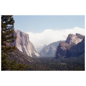 Jaeden Martell Instagram - Olympus OM-1   Yosemite🎍🫀🐛🪰
