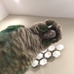 Jaiden Dittfach Instagram -