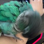 Jaiden Dittfach Instagram -