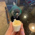 Jaiden Dittfach Instagram – action shot of 0.5 seconds until banana massacre