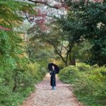 Jaimie Alexander Instagram - Fall🍁🍂🎃 #NYC