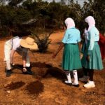 Jaimie Alexander Instagram - This place is so amazing! 🤩 More than 20 other farmers are also being trained here in ‘climate-smart’ methods that will help ensure crops can continue to grow even amidst flooding and high temperatures. This demonstration farm is growing crops that have never been grown before in The Gambia, like pineapples and strawberries. The onion variety being so successfully grown by the women we met in Kalaji the day before, was tried out here first. Many of the Self Help Africa projects in The Gambia link together like this for maximum impact & efficiency. The next goal? To replicate the success of this demonstration farm in many other regions across The Gambia.💚 @selfhelpafrica