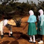 Jaimie Alexander Instagram - Wow. 💚 What to say about an unforgettable few days in The Gambia seeing the impact of Self Help Africa’s programs here. These programs are much needed. Life in The Gambia can be really tough. The Gambia is one of the world’s poorest countries (ranking 174th out of 190 countries on the Human Development Index). Youth unemployment is high. The effects of climate change are making it more difficult for people to grow food to feed their families. I left so inspired and impressed by the people I met working together in Self Help Africa’s programs to teach one another all these great skills and to help address these challenges. 💚