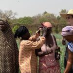 Jaimie Alexander Instagram - Cheers to another great day in The Gambia that started with homemade tea given to me by these wonderful women farmers & entrepreneurs. We started at Kalaji women’s community garden, one of 120 Self Help Africa gardens across 4 regions of The Gambia. The women greeted us like good friends & gave me a new Gambian name, Isatou. ♥️ This garden is the ONLY source of income for these women and another Self Help Africa project makes sure they receive a fair price for the vegetables they work so hard to grow. The Market Information Systems project provides access to information through a WhatsApp chatbot, or SMS or voicemail, so everyone is included, regardless of literacy level.
